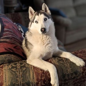 Meet your Posher, Haley